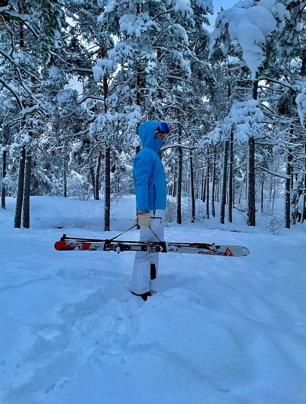 Skibuddie