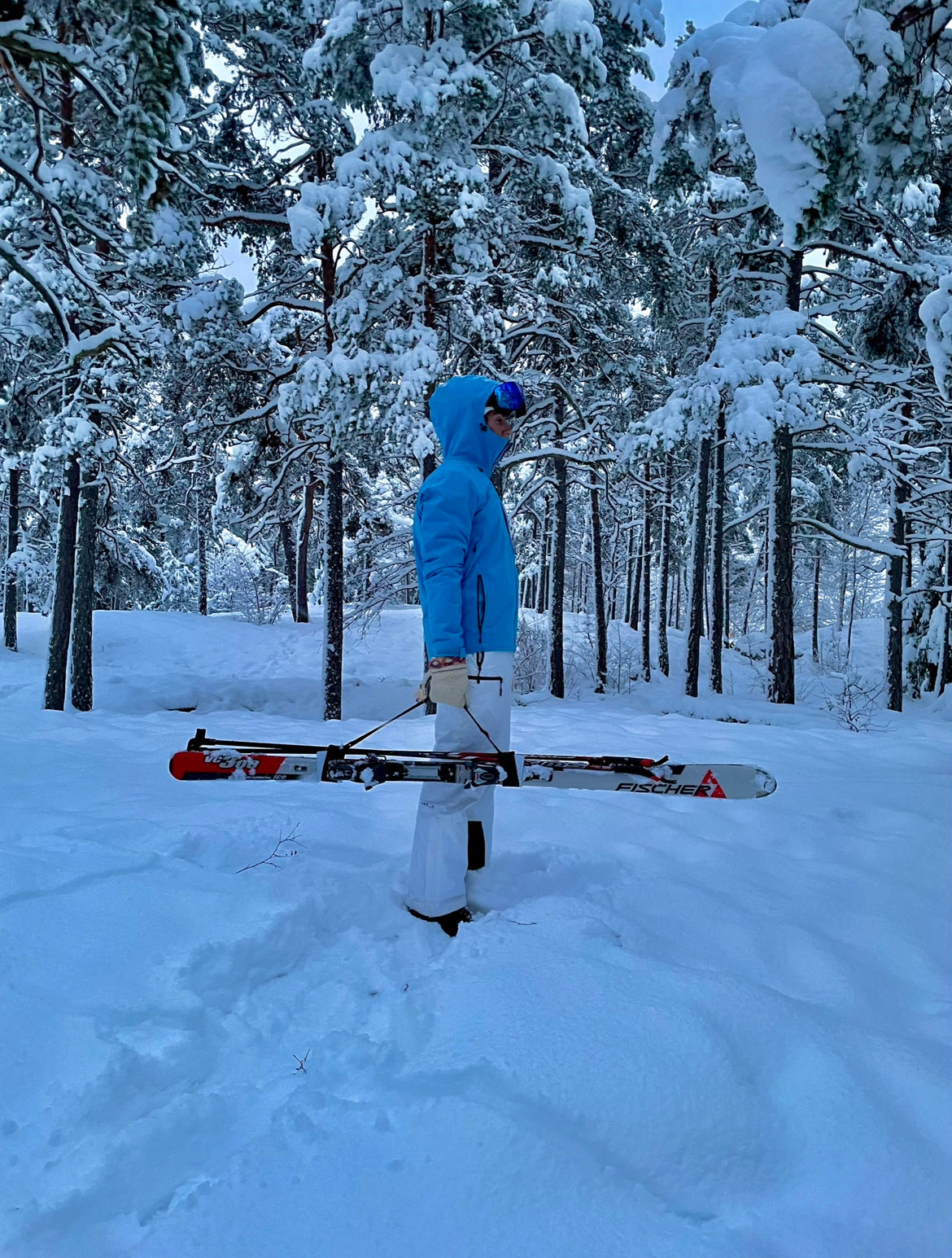 Skibuddie